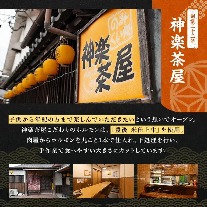 豊後米仕上げ牛牛すじ煮込み＋牛ホルモン炒めセット(合計650g・3パック)牛肉 お肉 小腸 おかず おつまみ 小分け 簡単調理 惣菜 時短【111100402】【神楽茶屋】
