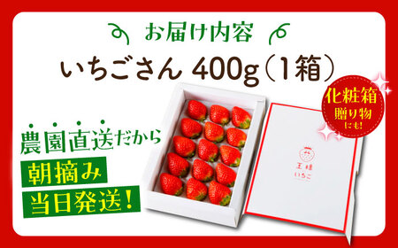 【先行予約】【1?2月発送】王様のいちご（いちごさん）400g HAF013 果物 フルーツ