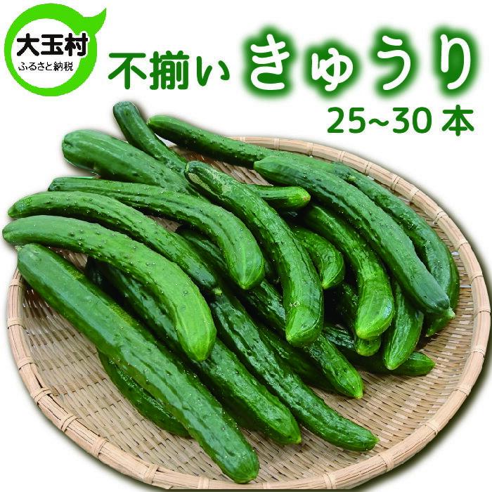 【ふるさと納税】 きゅうり 訳あり 野菜 20本〜25本 もったいない野菜 数量限定 【01093】 SDGs フードロス 食品ロス 規格外 不揃い 家庭用 傷 キュウリ 期間限定 送料無料 夏野菜 新鮮 旬 5000円 以下 4000円 産地直送 大玉村 福島