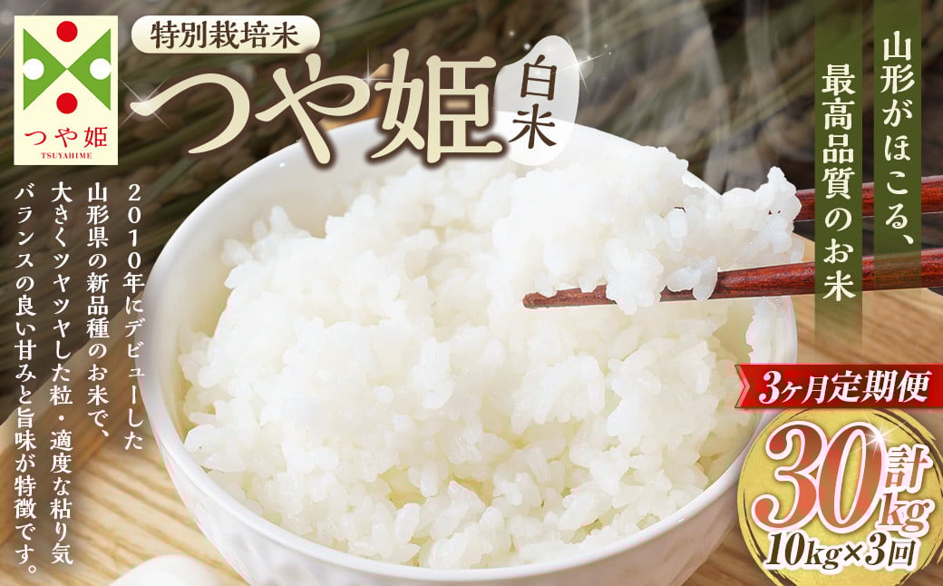 
            【3ヶ月定期便】【令和7年産新米】〈白米〉 つや姫 10kg×3回（特別栽培米） 山形県産 しらたかのお米 【2025年11月上旬発送開始予定】
          