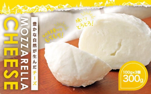 
										
										KUMAMOTO モッツァレラ 3個セット 300g(100g×3個)チーズ 生乳 乳製品
									