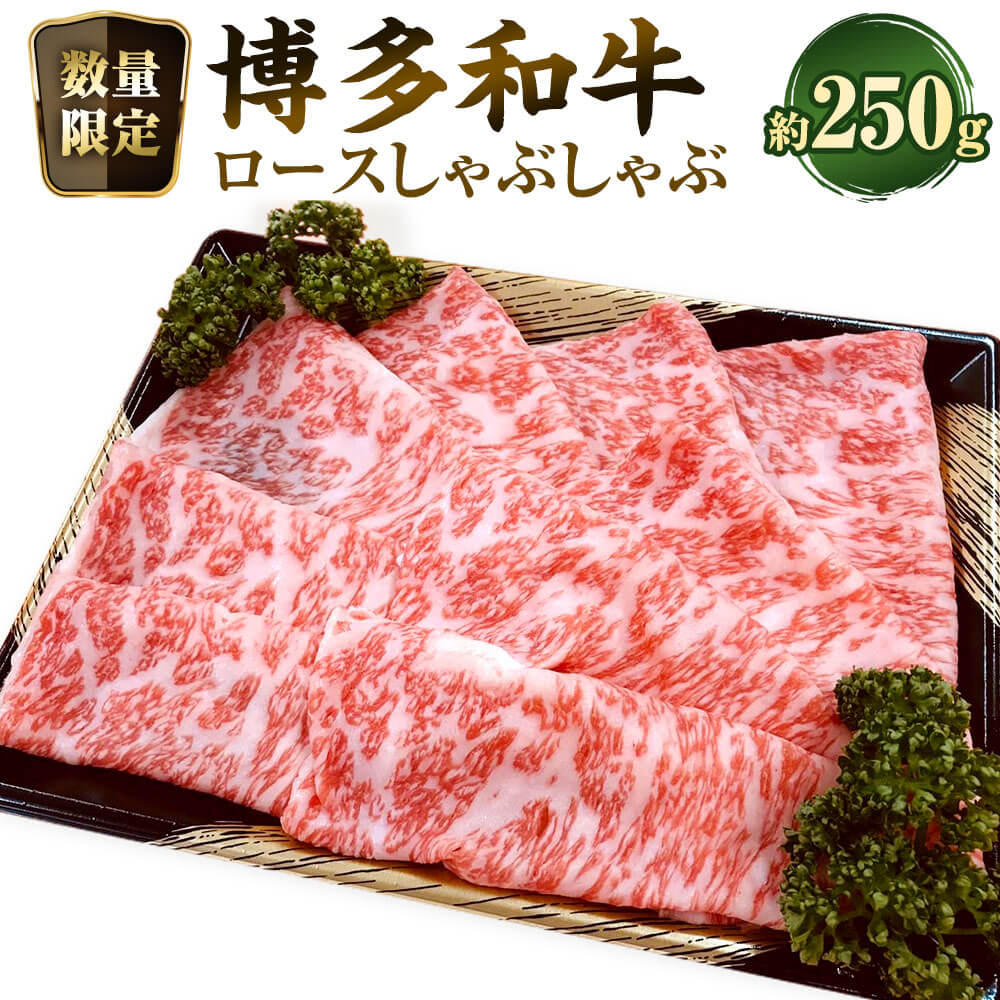 【ふるさと納税】【数量限定博多和牛】ロース しゃぶしゃぶ 約250g 黒毛和種 和牛 リブロース サーロイン 牛肉 お肉 霜降り 冷凍 福岡県産 国産 九州 福岡県 大任町 送料無料