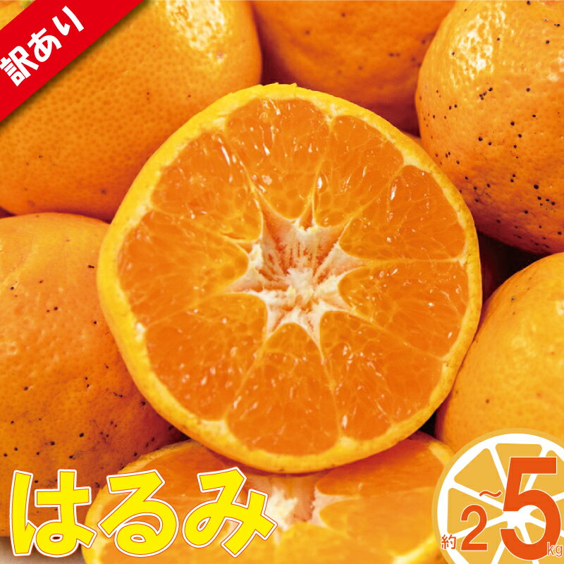 【ふるさと納税】 訳あり みかん 家庭用 はるみ 約2kg または 約5kg ( 訳あり みかん 訳あり柑橘 訳あり商品 はるみ みかん 柑橘 松山 愛媛県 )