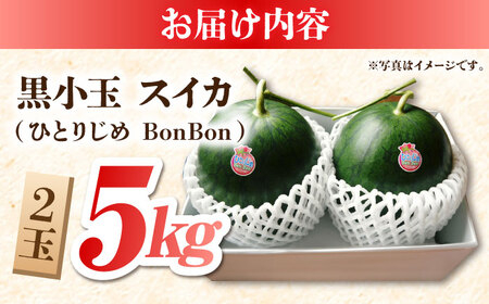 【先行予約】【数量限定】黒小玉 スイカ (ひとりじめ BonBon) 2玉 計約5kg【岡山農園】こだまスイカ すいか 西瓜 黒小玉すいか 熊本スイカ くまもとスイカ 数量限定スイカ [ZBY001]