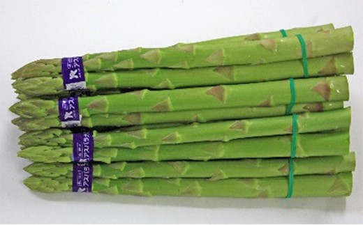 
                  アスパラガス さぬきのめざめ 夏芽 香川県産 国産 700g 100g × 7束 香川県オリジナル品種 グリーンアスパラ シャキシャキ食感 歯ごたえ 柔らかい 甘み 野菜 アスパラ サラダ 天ぷら 炒め物 贈答 ギフト お取り寄せ 香川県 綾川町
                
