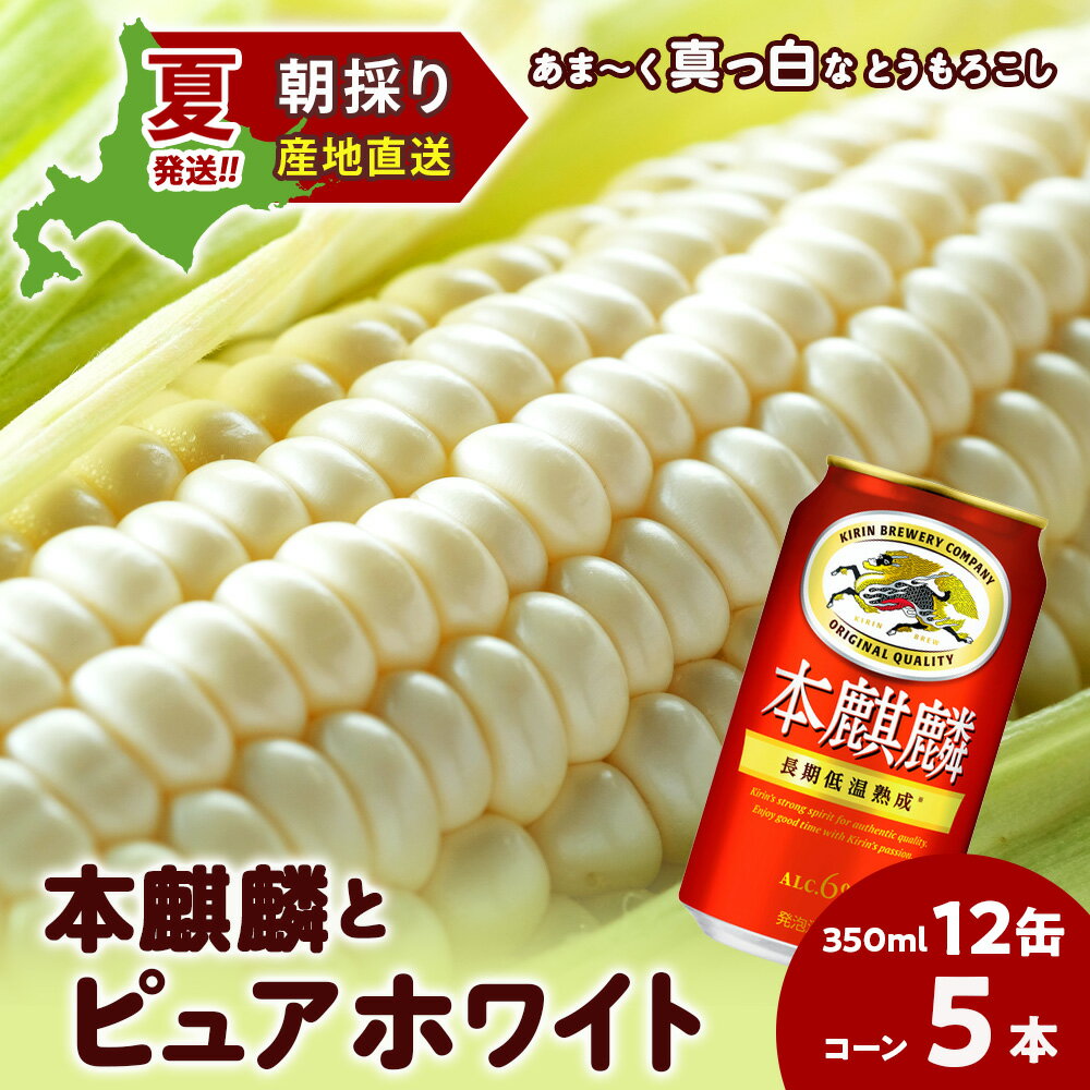 【ふるさと納税】2025年夏発送 キリン本麒麟350ml 12缶＆白いとうもろこしピュアホワイト5本 北海道千歳産 野菜 とうもろこし とうきび キリンビール 麒麟ビール ビール 【北海道千歳市】ビール ギフト ふるさと納税 KIRIN