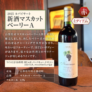 ワイン 丸藤葡萄酒が贈る旬の味わい『新酒マスカットベーリーA』『新酒甲州辛口』新酒ワイン2本セット（MF）B17-790