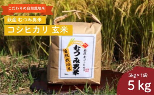 自然栽培 むつみ男米 玄米 5kg