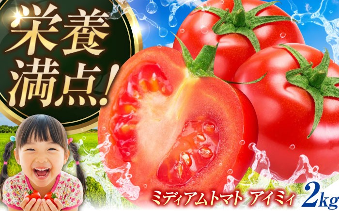 
                  【高品質 トマト】ミディアムトマト 2kg【11月上旬から翌年6月末まで順次発送】先行受付 先行予約 野菜 やさい トマト とまと フルーツ フルーツトマト ミニトマト プチトマト ビタミン 常温 サラダ スープ リコピン 健康 美容 国産 料理 完熟 グルメ 保存 リピート ギフト 人気 高品質 好評 広島県産 江田島市/有限会社グリーンファーム沖美 [XAB002]
                