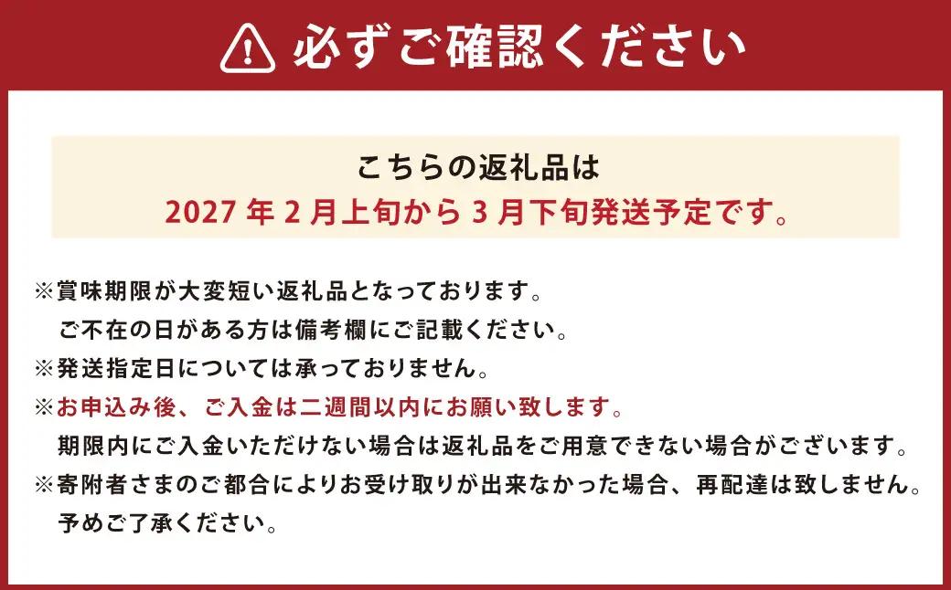 あまおう 約570g 約285g×2パック いちごファームきらら いちご イチゴ 苺【ふくおかエコ農産物認証】【2027年2月上旬から3月下旬発送予定】