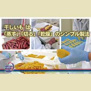【わんちゃんのおやつ】 ほしいもバラエティ1kg（BH-19）