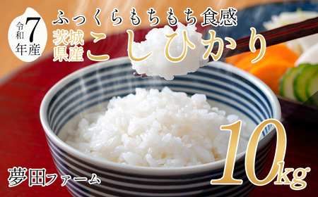 【令和7年産コシヒカリ10kg】 夢田ファームのコシヒカリ| 米