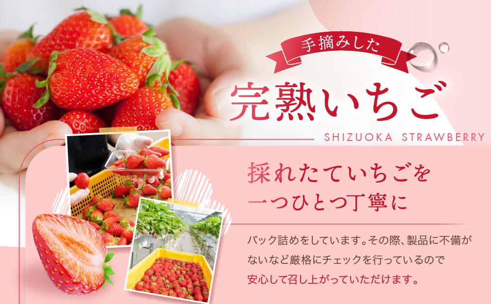 先行受付(2025年2月以降発送)農家直送！ 静岡いちご　DX　糖度13～14度　1100g 程度（270～280g×4パック）甘くて地元大人気！やみつきリピーター多数　御前崎産　数量限定