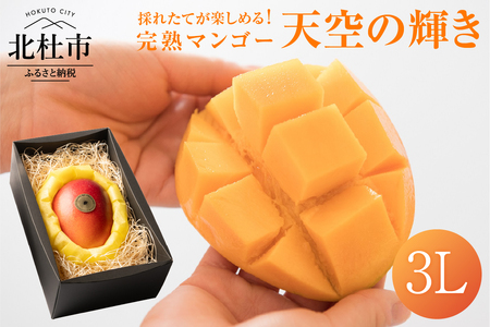 【2025年度先行予約】八ヶ岳・完熟マンゴー「天空の輝き」3L（1個入り）先行予約 完熟マンゴー 天空の輝き 3L 1個入り マンゴー アップルマンゴー フルーツ 果物 デザート ギフト 贈答 期間限定 数量限定 令和7年産 【2025年度先行予約】 山梨 北杜市