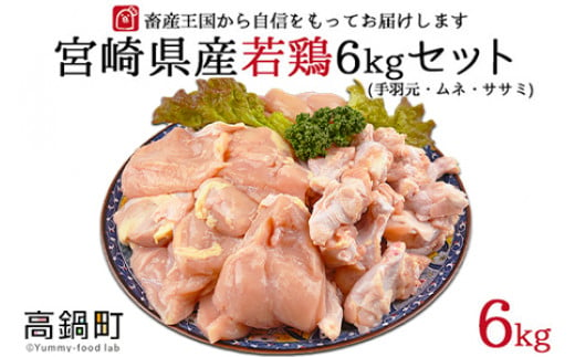 【9月発送】＜宮崎県産若鶏3種 計6kgセット＞【c504_hn_x3-sep】