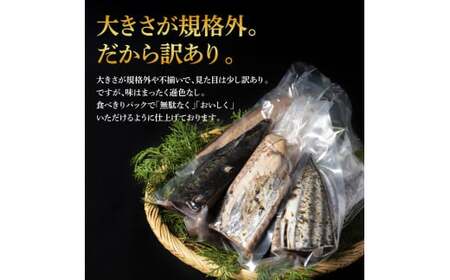 訳ありカツオたたき 600g 日本酒 おつまみ セット 純米酒 1合 180ml 土佐しらぎく 