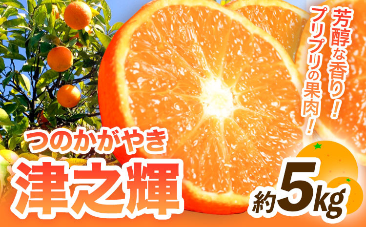 
【先行予約】津之輝(つのかがやき)　約5kg 株式会社魚鶴商店《2025年2月上旬-2月末頃出荷予定》 和歌山県 日高町 柑橘 フルーツ
