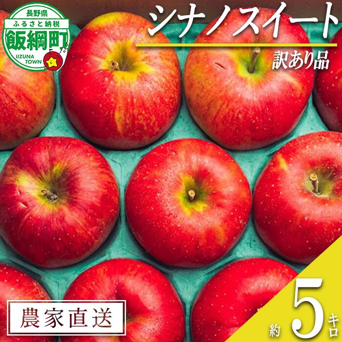 【ふるさと納税】 りんご シナノスイート 5kg 訳あり 原山農園 沖縄県への配送不可 〔 果物 フルーツ 林檎 長野 予約 農家直送 不揃い 規格外 5キロ 12000円 〕【令和7年度収穫分】 発送：2025年10月中旬〜