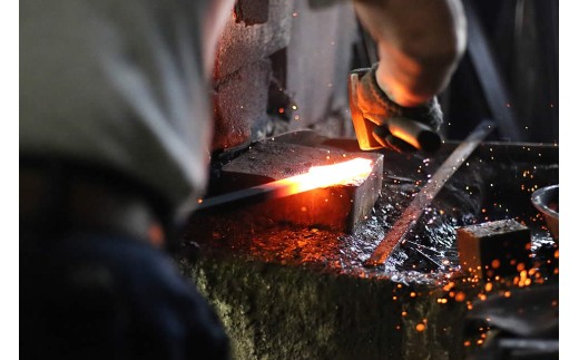 【 土佐打刃物 】 柳刃包丁 27cm 迫田刃物 鍛冶職人 日本三大刃物 土佐打ち刃物 青紙2号 包丁 キッチン 用品  高知県 須崎市 SD035