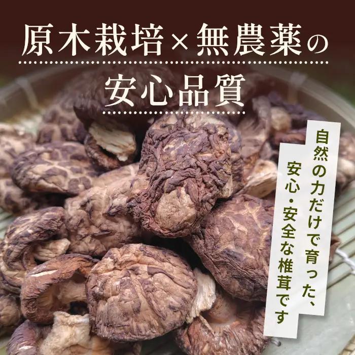 無農薬栽培 原木しいたけ！とよくに清流 ほししいたけ 200g 椎茸 シイタケ 野菜 バーベキュー 肉厚-017