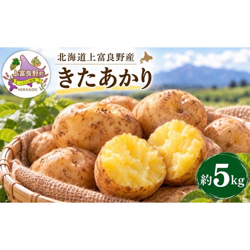 【令和8年産】じゃがいも【きたあかり】Lサイズ 約5kg≪北海道上富良野産≫ 野菜 ポテト 芋 産地直送
