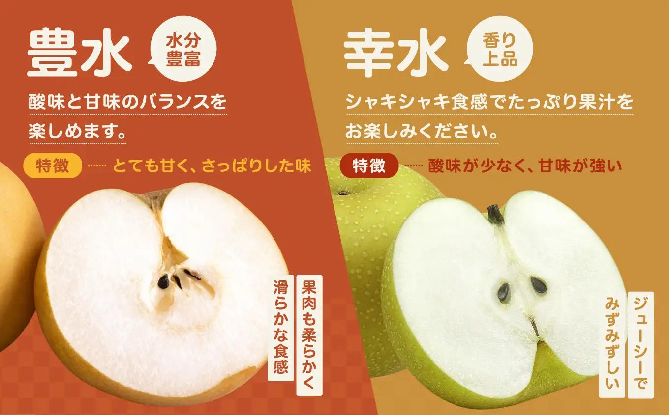 南信州産 梨 約5kg ＜ 幸水 ・ 豊水 ＞ いずれか1品種 おまかせ【2026年8月中旬～発送】