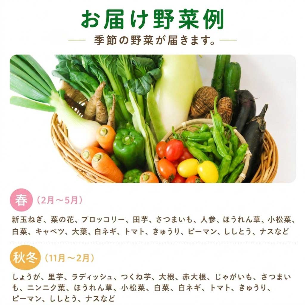 【先行予約】 【6回定期便】 朝採れ新鮮！ 野菜セット(10～11品) | 野菜セット 新鮮 野菜 人気 季節の野菜 数量限定 おすすめ 森尾商店 高知県 南国市