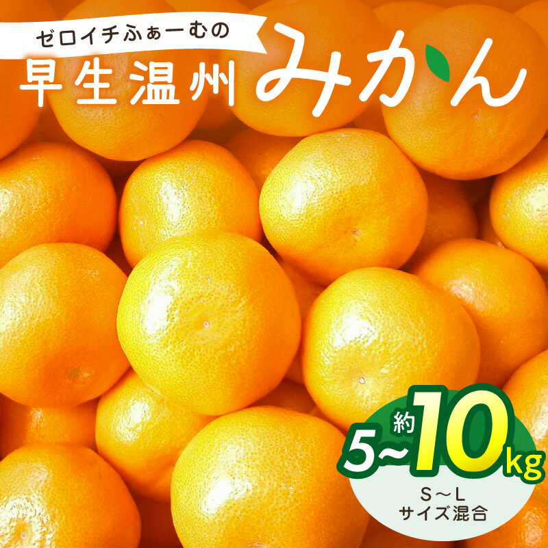 【ふるさと納税】ゼロイチふぁーむ みかん 早生温州みかん 約5kg 約10kg【ゼロイチふぁーむから送る御浜町産早生温州みかん】