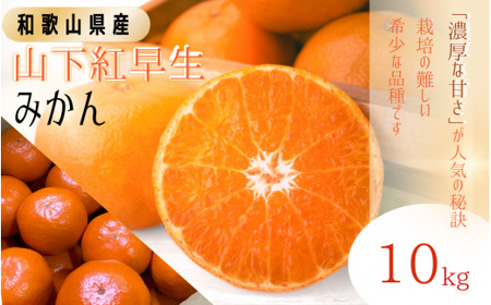 【先行予約】秀品 「紅娘」 温州 みかん 山下紅早生 10kg 【S~2Lサイズおまかせ】【2026年11月下旬～2026年12月中旬までに順次発送】＜味好農園＞ /温州みかん みかん 蜜柑 柑橘 山