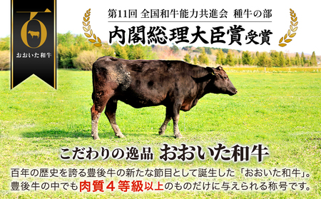 おおいた和牛 もも スライス 700g | 和牛 もも スライス 津久見市