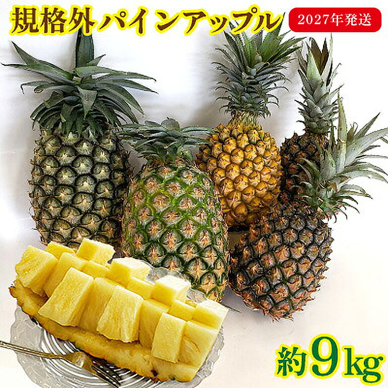 【ふるさと納税】規格外パインアップル　約9kg【2027年発送】 パイン パインアップル パイナップル ボゴール ゴールドバレル ピーチパイン サンドルチェ ホワイトココ 規格外 訳あり 生産量日本一 国産 国産パイン おまかせ 南国 トロピカル 予約 先行予約 沖縄 東村
