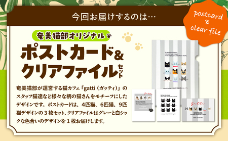 【 奄美 の 保護猫支援 （ ワクチン 代 ）】 ＋ ポストカード ＆ クリアファイル セット A071-009 お手紙 猫デザイン 3種 オリジナルポストカード A4サイズクリアファイル 保護猫プロ