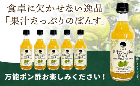 調味料 ポン酢 果汁 たっぷりの ぽんす 早摘みデコ 300ml 6本 《30日以内に出荷予定(土日祝除く)》熊本県 水俣市 津奈木町 福田農場 しょうゆ 瓶 水炊き 唐揚げ カツオのタタキ たれ ポ