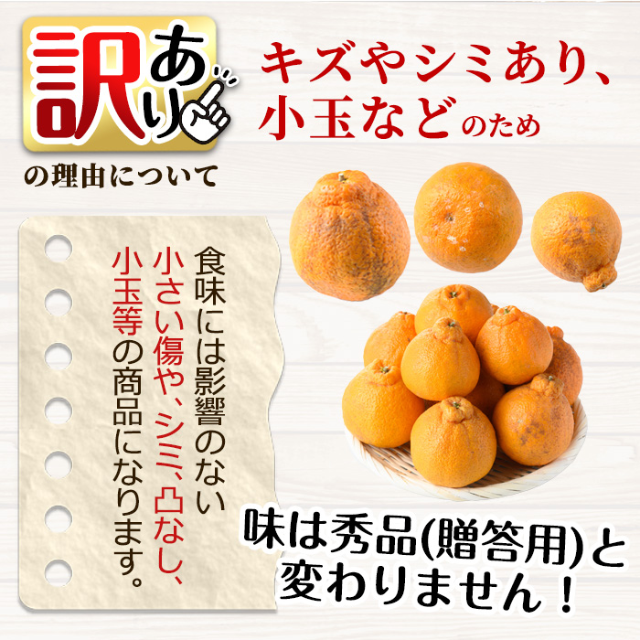 No.1089 ＜先行予約受付中！2026年1月中旬～2月下旬までの間に発送＞《訳あり！期間・数量限定》鹿児島県産！薩摩不知火(4kg) みかん 不知火 柑橘 フルーツ 果実 鹿児島 【黒川農園】