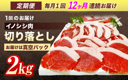 【12回定期便】天然イノシシ肉 切り落とし2kg（ぼたん鍋・煮込料理・野菜炒め用等） / ジビエ 猪肉 いのしし肉 ジビエ肉 肉じゃが用肉 イノシシ いのしし焼肉 長崎ジビエ 猪 ぼたん鍋 鍋肉 猪鍋