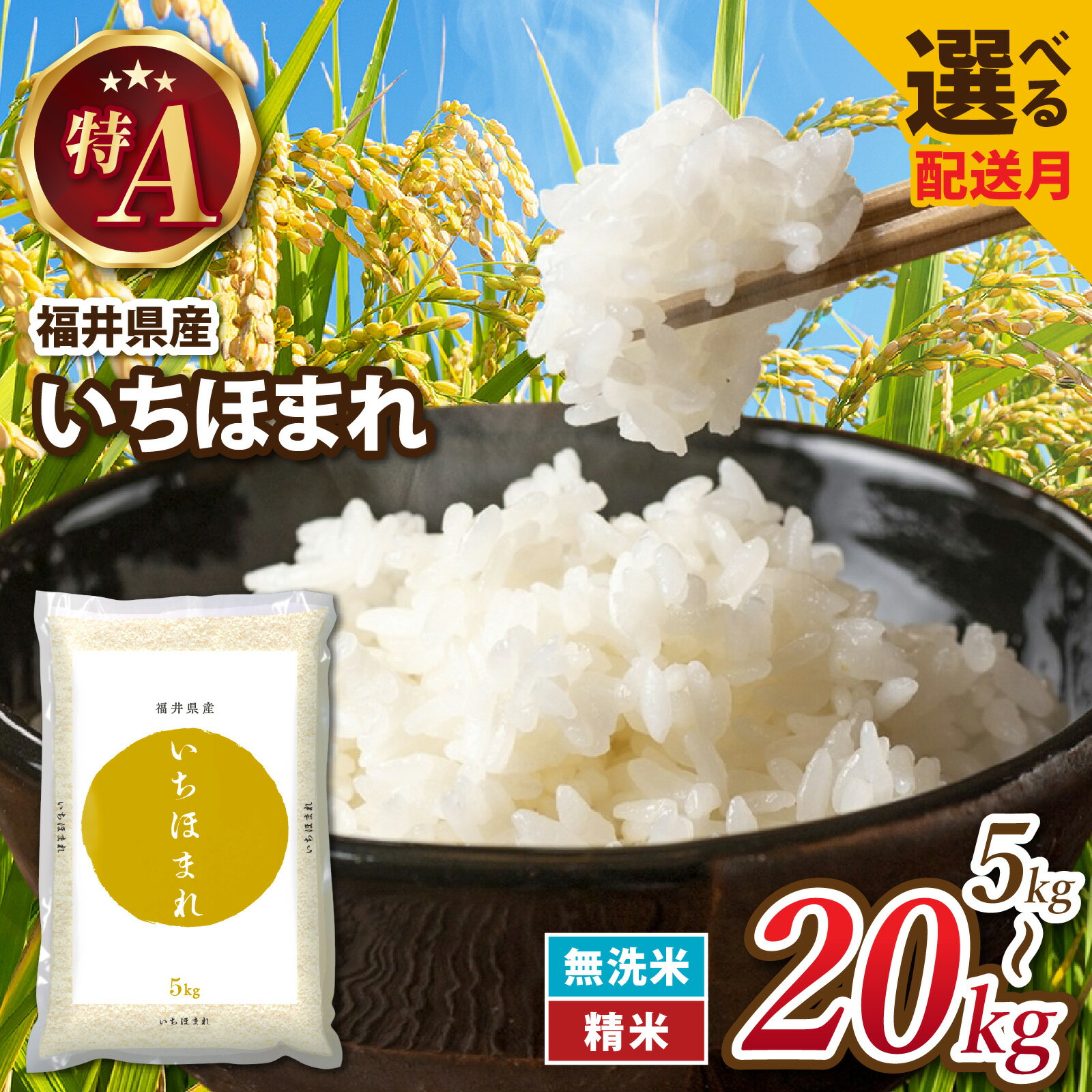 【ふるさと納税】令和7年産 福井が生んだブランド米 福井県産 いちほまれ【選べる容量・配送時期】 / 米 無洗米 こめ お米 コメ ごはん ご飯 飯 無洗米 七年 7年産 5kg 10kg 15kg 20kg 2袋 3袋 4袋 精米 白米 単一米 ブランド 特A