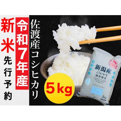 ふるさと納税 佐渡市 【令和7年産新米】佐渡産コシヒカリ 5kg