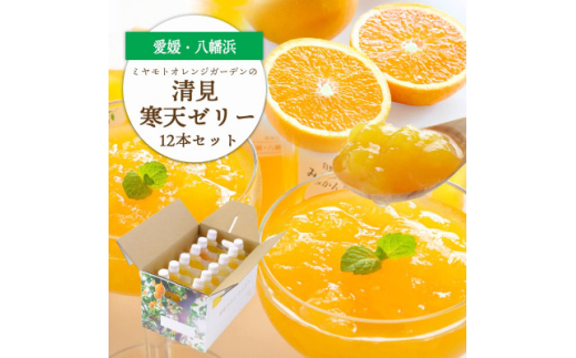 ゲル化剤・pH調整剤不使用!愛媛産 清見寒天ゼリー 12本セット＜D25-230＞【1629903】