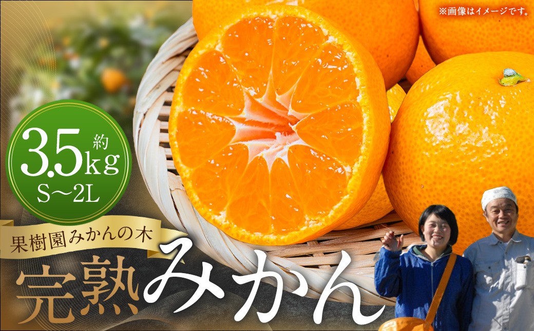 
                  L9x1 果樹園みかんの木の完熟みかん 3.5kg みかん ミカン 蜜柑 温州みかん 完熟みかん 甘熟 国産 佐賀県産 太良町 こだわり 産地直送 詰め合わせ 【2026年11月上旬-2027年1月下旬発送予定】
                