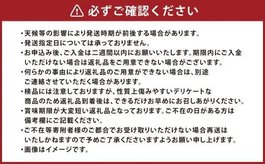 岡山県産 桃太郎ぶどう 2房 （ 1房 480g以上 ） ハウス栽培 甘味 果物 くだもの 果実 フルーツ 葡萄 ぶどう ブドウ 国産 皮ごと 皮薄 食感 【 2026年7月上旬～8月下旬発送予定 】