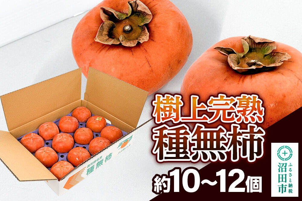 樹上完熟種無柿 1箱（約10〜12個） [柿 かき カキ 果物 フルーツ スイーツ 種無 種なし 完熟 地元で評判 群馬県 沼田市]