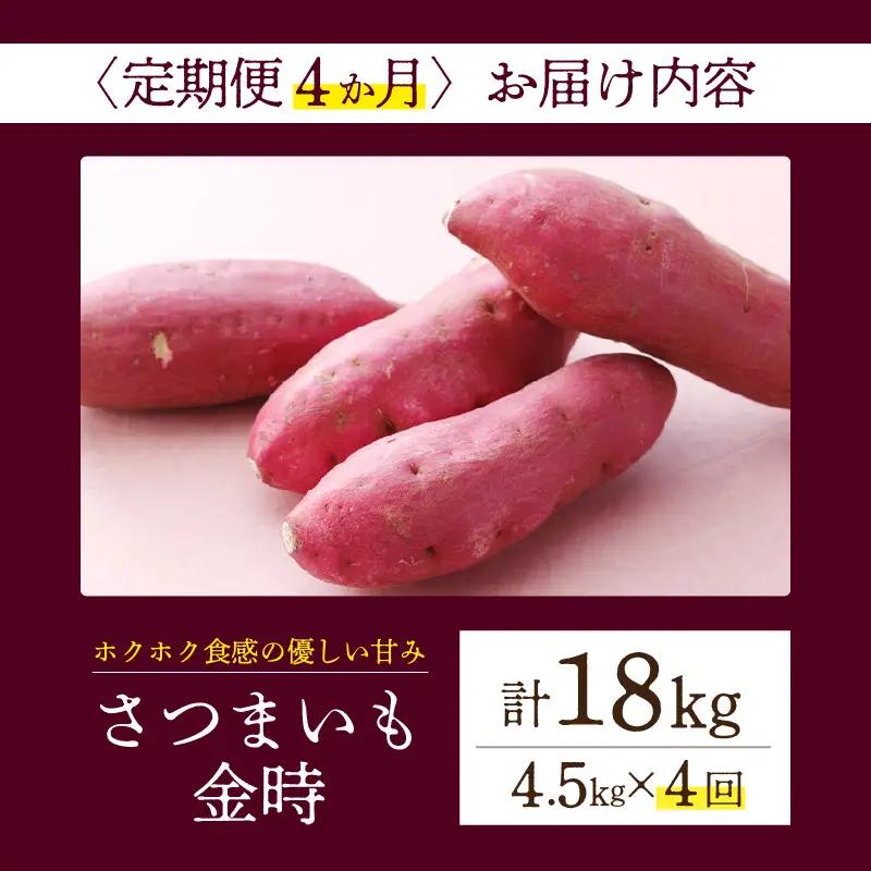 【定期便4ヶ月】さつまいも 金時 4.5kg・H132