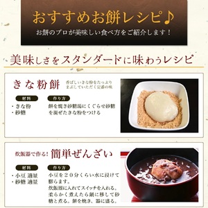 丸餅 杵つき餅 1kg 小分け 【100%国産米】【ibuk0001】