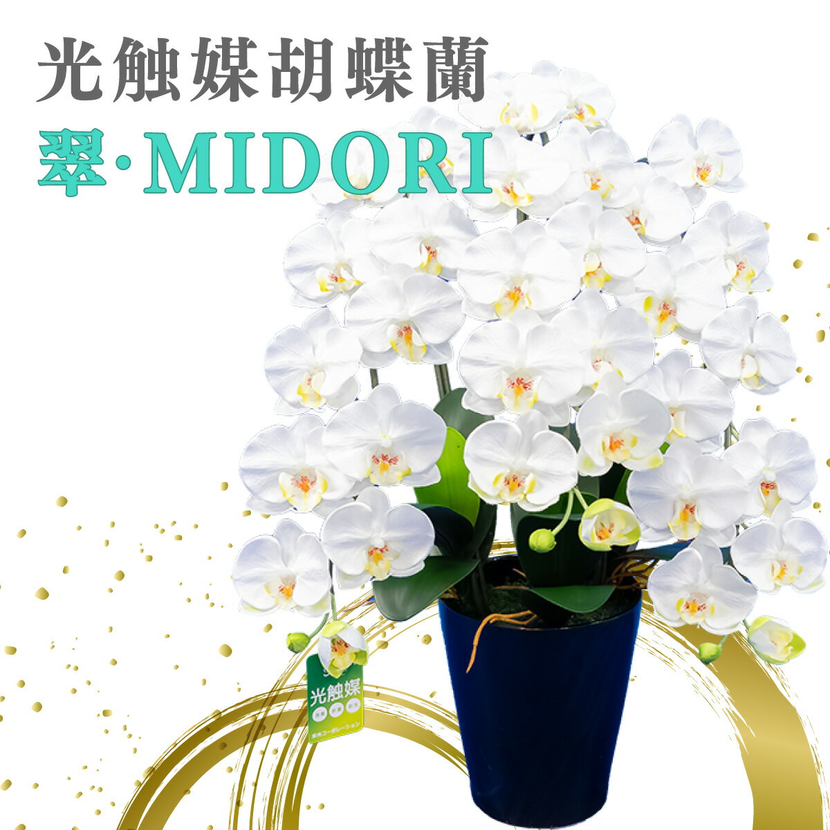 【ふるさと納税】光触媒胡蝶蘭「翠(みどり)」白黄 E-278　上峰町 光触媒 胡蝶蘭 造花 観葉植物 送料無料