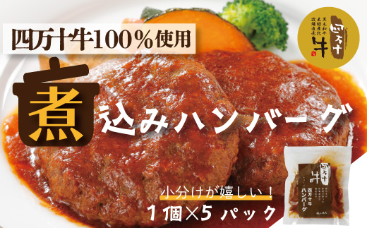 26-400．幻のメス牛 四万十牛100％使用ジューシーな煮込みハンバーグ5個