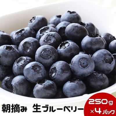【ふるさと納税】数量限定 鹿沼 朝摘み 生ブルーベリー 250g × 4パック 1kg ｜ 果物 詰合せ フルーツ ※沖縄・離島への配送不可 ※2026年6月中旬～2026年7月中旬頃に順次発送予定