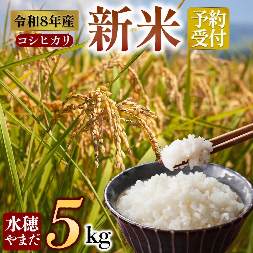令和8年産　コシヒカリ 5kg　水穂やまだ グランプリ獲得 お米 米 人気 美味しい 弾力 粘り 食感 湧水 熊本 阿蘇
