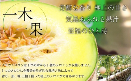 メロン 3か月定期便 訳あり2玉 果物類 青肉 3回 メロン