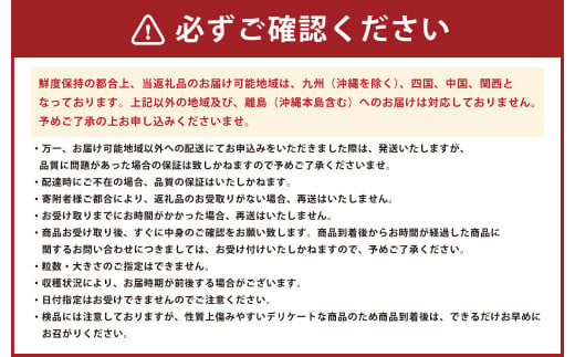 熊本県産みはや 約5キロ 【2026年12月上旬より順次発送】 果物 柑橘類 蜜柑