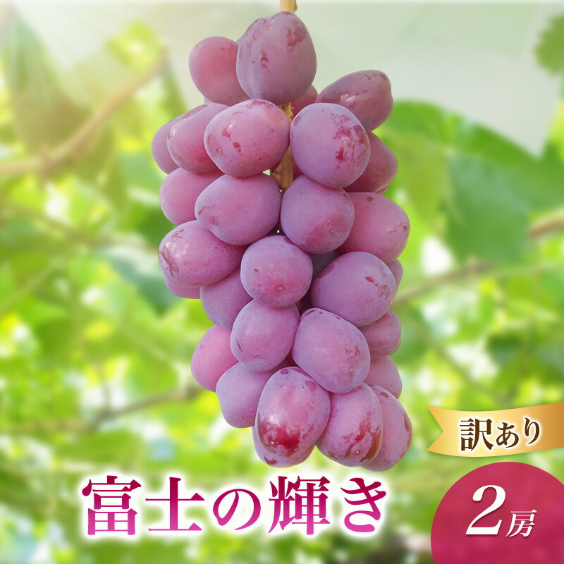 【ふるさと納税】2026年産訳あり富士の輝き2房　 種なし 果物 ぶどう 葡萄 マスカット フルーツ 長野県 駒ケ根市　お届け：2026年9月下旬～10月下旬